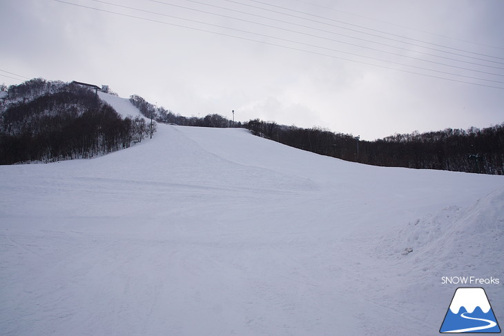 小樽天狗山ロープウェイスキー場 絶景と最大斜度40度の急斜面！